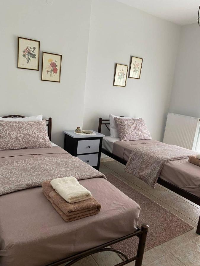 Polys Apartment And Paraskevi Studio With View Ptolemaida Luaran gambar